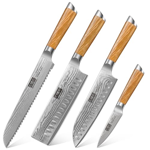 HOSHANHO Damascus Chef Knife Set - Paring, Santoku, Nakiri, Bread Knife