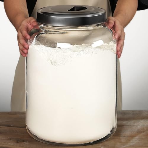 Daitouge 5.5 Gallon Large Glass Storage Jar with Lid, 21000ml, 1 Pack