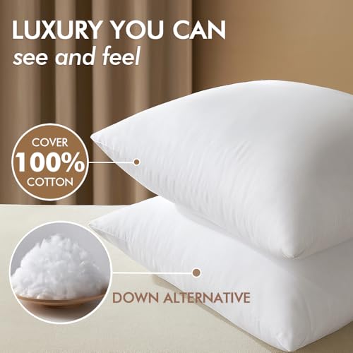 MIULEE 24x24 Pillow Inserts Pack of 2,Down Alternative Throw Pillows