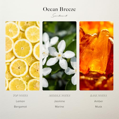 Scentiment Ocean Breeze Hotel Diffuser Oil 4.06 fl oz - Luxury Home Fragrance
