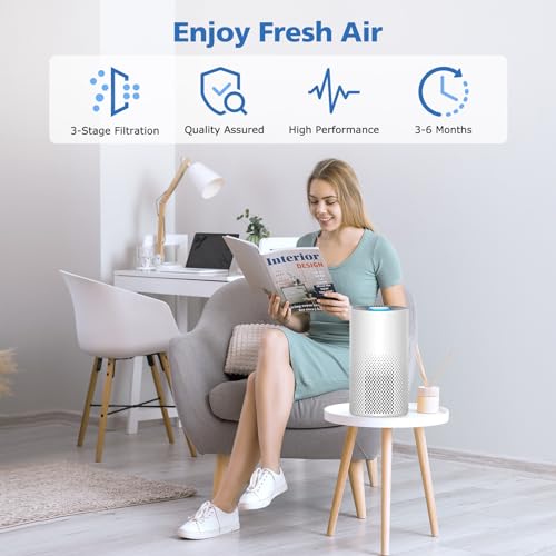 ShufudeJa 2 Pack KILO HEPA Air Purifier Filters for Afloia KILO Series, White Variation