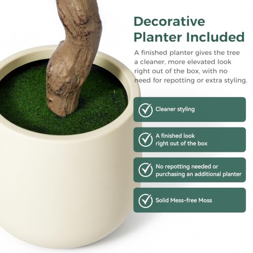 6ft Faux Olive Tree with Decorative Planter - Indoor Artificial Tree, Silk Leaves & Fruits