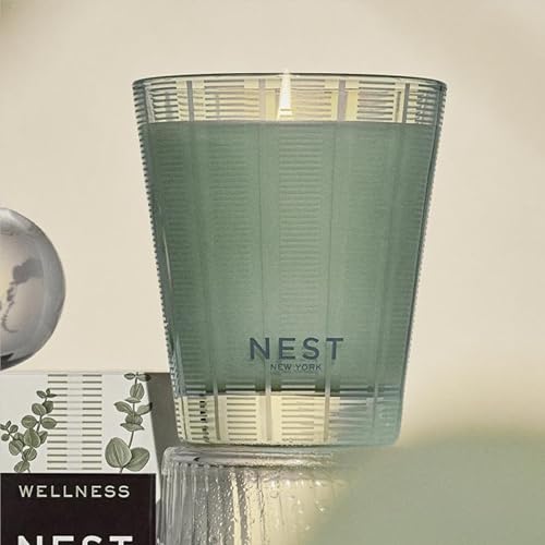 Scented Candle - Wild Mint & Eucalyptus - 8.1 oz, Up to 60-Hour Burn - Reusable Glass Vessel