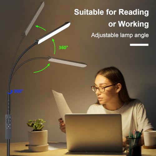 FRIDEKO HOME 2 Pack Black LED Floor Lamps with Dimming & Remote Control