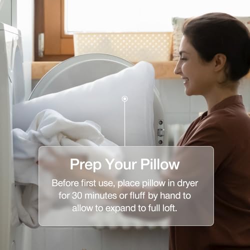 Coop Home Goods Essence Cooling Queen Adjustable Down Alternative Pillow Set of 2 - Classic Variant