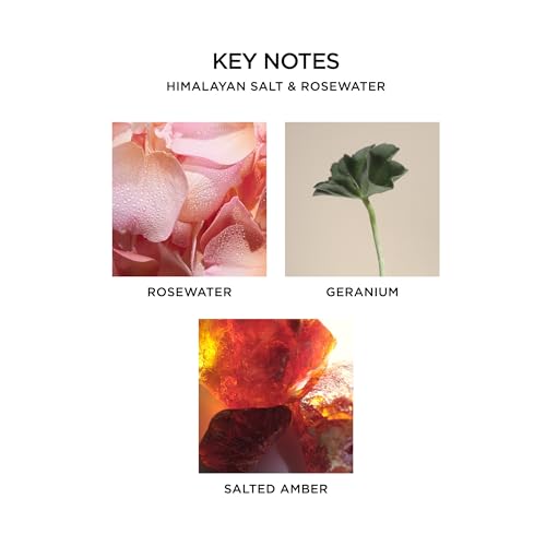 Himalayan Salt & Rosewater Reed Diffuser - Wellness Collection, 5.9 fl oz, Refillable Glass Vase, Up to 90 Days Scent