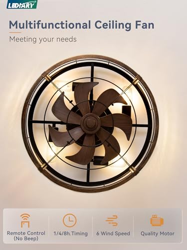 20-Inch Caged Low Profile Ceiling Fan with Light & Remote - Black & Gold