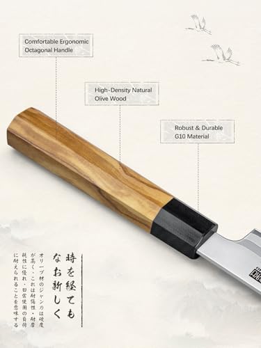 HOSHANHO 10-Inch Japanese Sushi Sashimi Knife - Razor Sharp Fish Fillet Knife