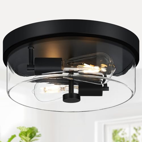 Matte Black 2-Light Farmhouse Flush Mount Ceiling Light with Clear Glass Shade