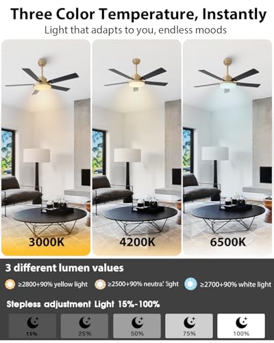 CalorHoga 52 Inch Gold Ceiling Fan with Lights Remote & App Modern Style