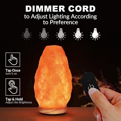 Himalayan Glow Pink Salt Lamp with Dimmable LED Night Light, Wooden Base, 6-8 lbs