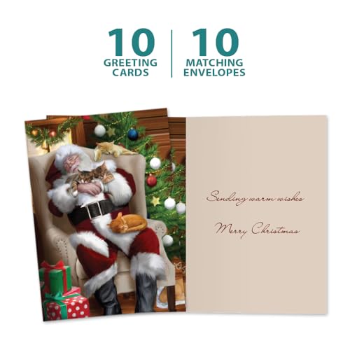 Tree-Free Greetings 10-Pack Christmas Cards - Cat Nap Santa Holiday Set