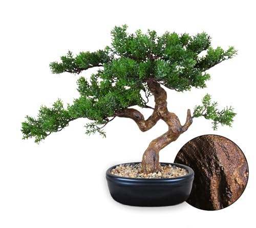 Permaplants Cypress Artificial Bonsai Tree 16" - Realistic Fake Plant for Home Office Decor