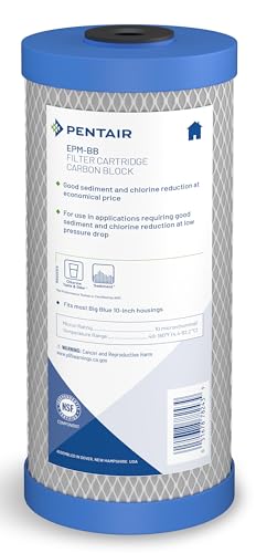 Big Blue 10-Inch Carbon Block Water Filter Pack of 1 - Chlorine & Sediment Reduction