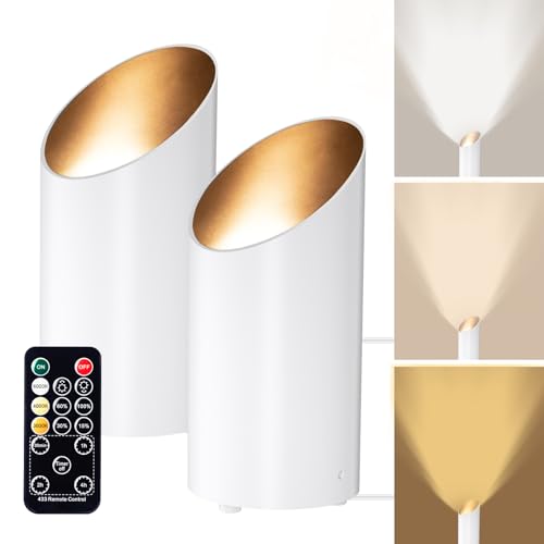 Brightown 2 Pack Uplights Indoor Floor Can Lights with Remote and