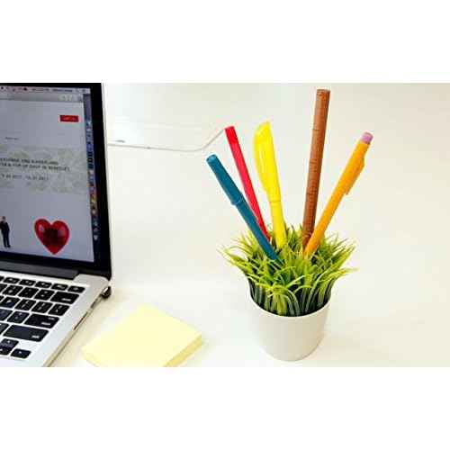 Kikkerland Potted Pen Stand (SC24)