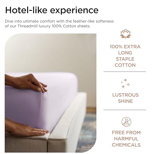 Threadmill 800TC Cotton Twin Sheet Set Lilac Solid Sateen Bed Linens