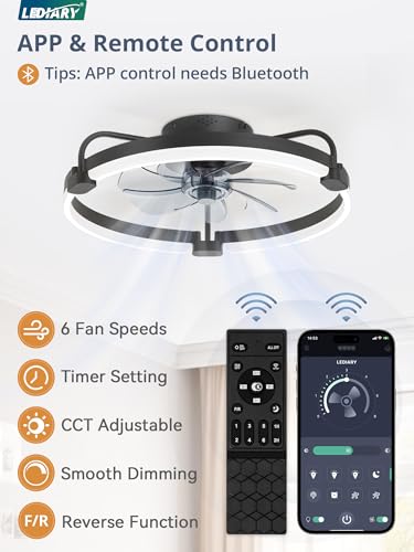 20-Inch Ceiling Fan with Lights and Remote Control - Black, Low Profile, Dimmable LED Light, Reversible Motor