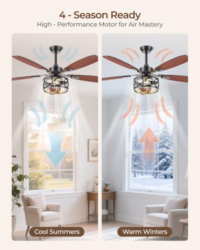 BLNAN 52 Inch Farmhouse Ceiling Fan with Lights & Remote, Dual-Color Blades, Quiet 6-Speed Reversible Fan for Living Room & Kitchen