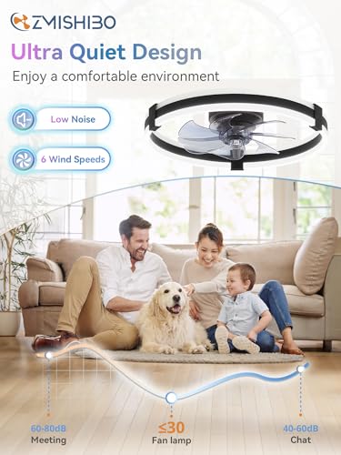 ZMISHIBO 20-Inch Black RGB Ceiling Fan with Lights Remote Control