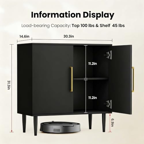 REHOOPEX Black Flat Panel Storage Cabinet with Doors - 1 Piece