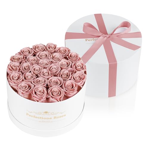 Perfectione Roses Dusty Rose - 27 Preserved Roses Box for Mother's Day Gift