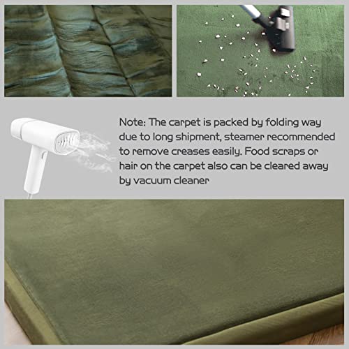 MAXYOYO Olive Green Coral Velvet Area Rug 59x78in with Non-Slip Backing, Thick Japanese Tatami Mat for Living Room & Bedroom