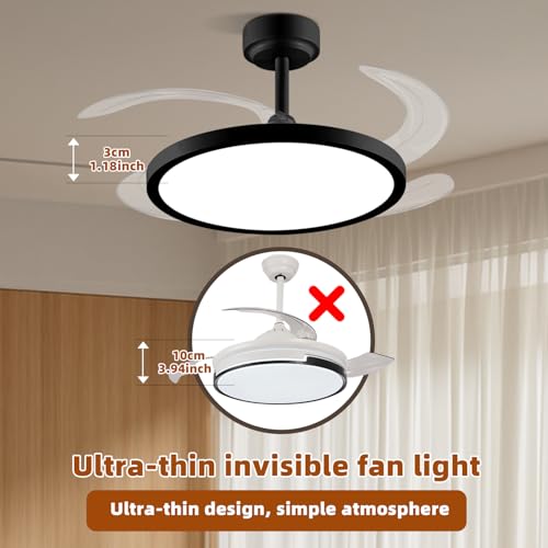 BAYSQUIRREL Downrod Mount Black Retractable Ceiling Fan with Lights & App Control