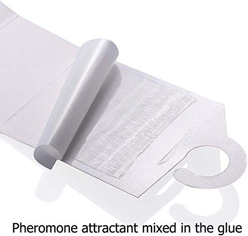 12-Pack Clothes Moth Traps with Pheromone Attractant for Closet & Carpet Control
