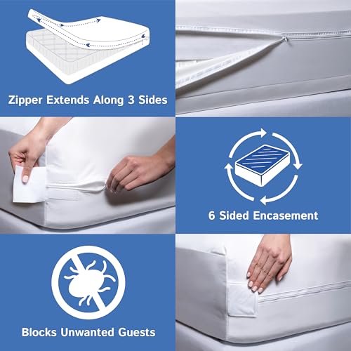 Queen Waterproof Mattress Protector Encasement 8-11 Inch Depth Hypoallergenic Cover