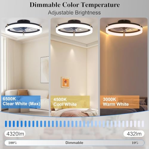 DIAMONDFORGE 20-Inch Matte Black Low-Profile Ceiling Fan with Lights & Remote