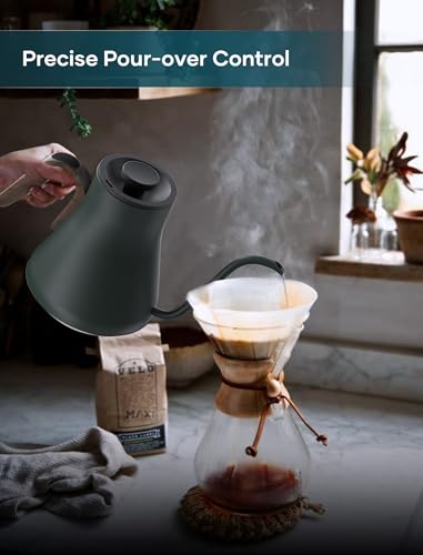 INTASTING Gooseneck Electric Kettle with ±1℉ Temperature Control 0.9