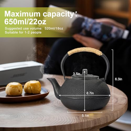 Cast Iron Tetsubin Teapot 22 oz / 650 ml with Enameled Interior & Stainless Steel Infuser - Japanese Style