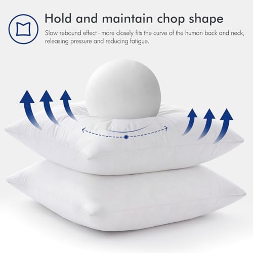 28x28 Inch Feather Down Pillow Inserts Set of 2 - Soft & Fluffy Support - Variation of 2 / 28x28 Inch