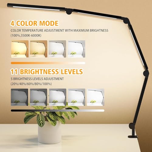 LED Desk Lamp with Clamp - Black, Dimmable, Eye-Caring Architect Light