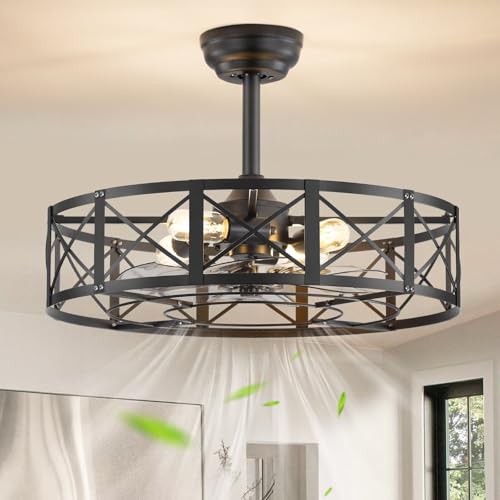 Fanbulous 23-Inch Black Caged Ceiling Fan with Light & Remote Control