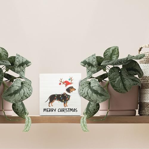 OVAcational Dachshund Merry Christmas Wooden Sign - Weiner Dog Holiday Decor