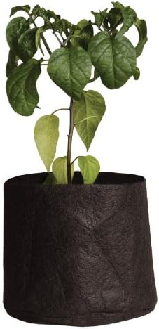 Smart Pots 1-Gallon Soft-Sided Container | Durable Black Gardening Pot for Healthy Plants