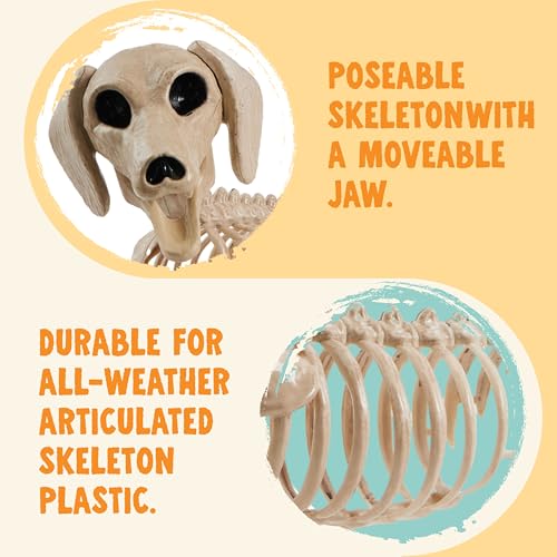24-Inch Poseable Halloween Dog Skeleton Prop for Indoor Outdoor Decor