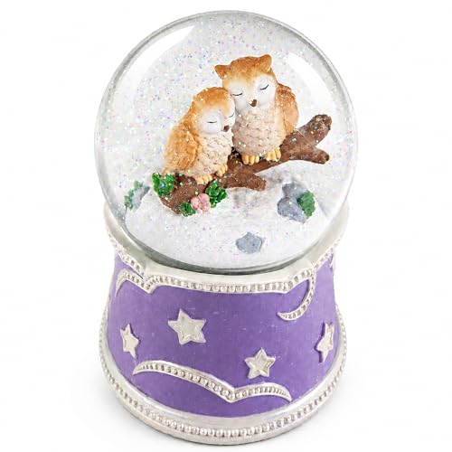 Mr.Winder Owl Snow Globe Music Box with Color Lights - Musical Decor Gift