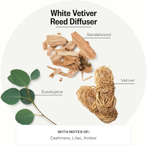 Apotheke Scented Reed Diffuser for Home, White Vetiver, 10 Sticks