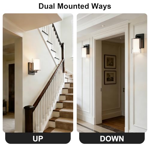 Kalium Black Double Glass Wall Sconces Set of Two - Modern Farmhouse Vanity Lights