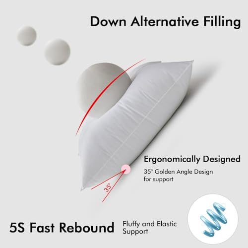 MIULEE 24x24 Pillow Inserts Pack of 2,Down Alternative Throw Pillows