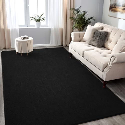 FALARK 5x7 Black Modern Minimalist Area Rug - Rectangular Wool Coral Fleece Carpet