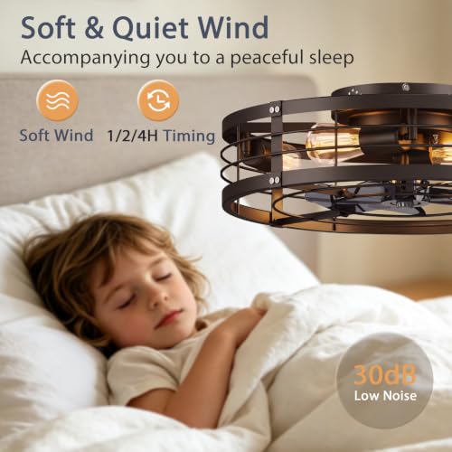 20-Inch Black Caged Ceiling Fan with Light and Remote - Farmhouse Low Profile