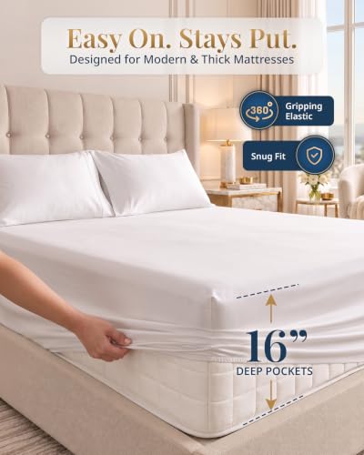 Twin XL Egyptian Cotton Sheets 1000 Thread Count - White, Silky-Smooth