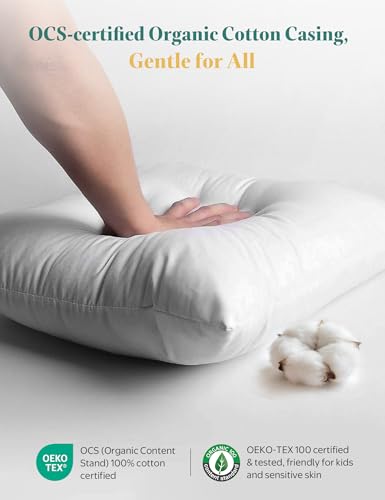 White Goose Feather Down Throw Pillow Inserts 20x20 Inch Set of 2 - Organic Cotton Cover