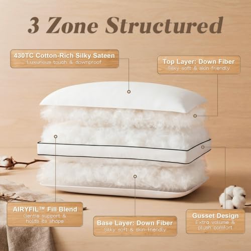 DOWNSTORIA Standard 2-Pack Goose Feather Down Pillows Luxury Hotel Collection