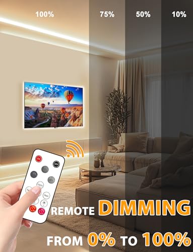 Lamomo COB LED Strip Lights 65.6ft Rope Light with Remote, Natural White
