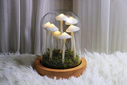 Sofyee Hand-Made Night Light - Cute Retro Mushroom USB Finished Product - Home Decor & Gift
